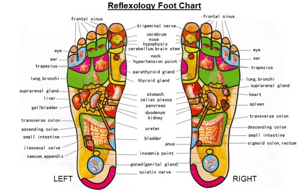 Support for Foot Recovery and Nerves